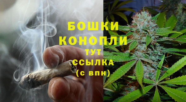 ПСИЛОЦИБИНОВЫЕ ГРИБЫ Алзамай